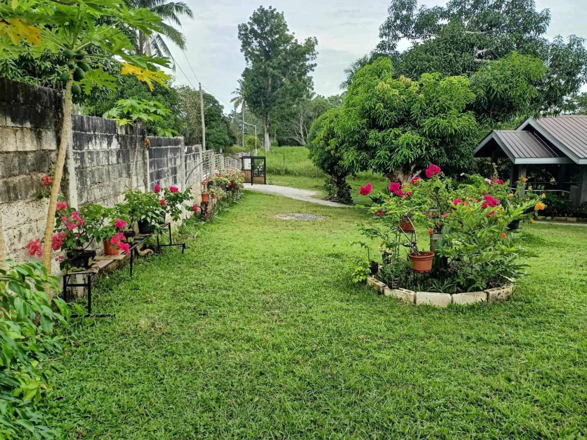 Balai Mariacaria Pension House Guindulman Exterior foto
